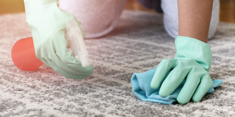 Carpet Cleaning in Clemmons, North Carolina